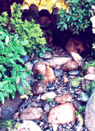 dry waterfall